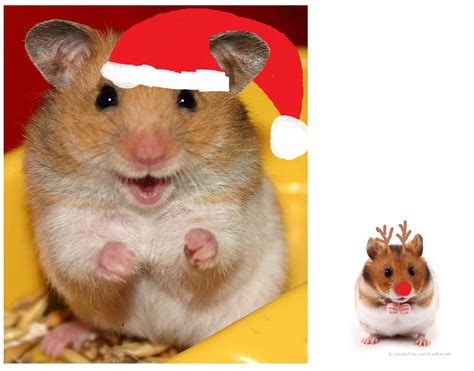 Christmas Hamsters By Lokipufff On Deviantart