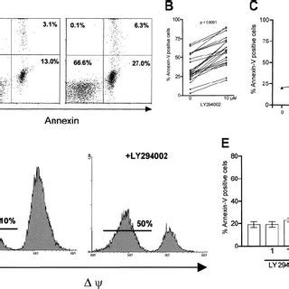 Effect Of PI 3K Inhibition On Apoptosis In B CLL Cells B CLL Cells 1