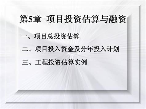 第5章项目投资估算与融资word文档在线阅读与下载无忧文档