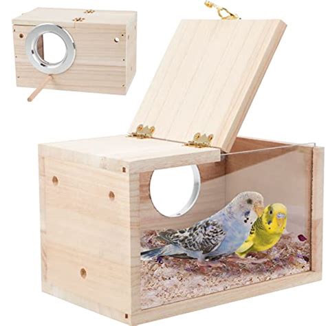 Best Bird Nest For Parakeets