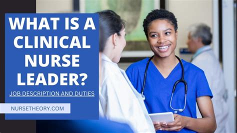 What Is A Clinical Nurse Leader Nurse Theory