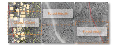 Forest Mapping Enercomp