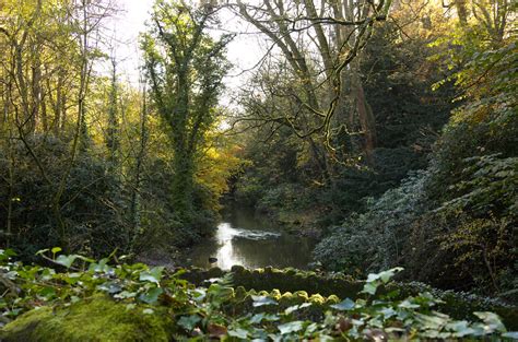 Jesmond Dene Img Alison Halliday Flickr