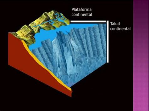 Todo De La Plataforma Continental ¿quÉ Es Y CÓmo Se Compone