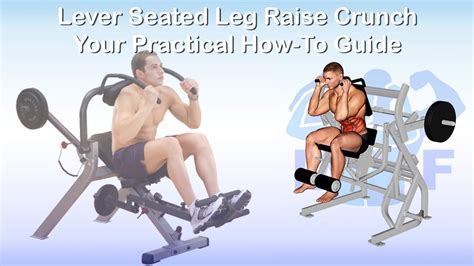 Lever Seated Leg Raise Crunch Machine Your Practical How To Guide