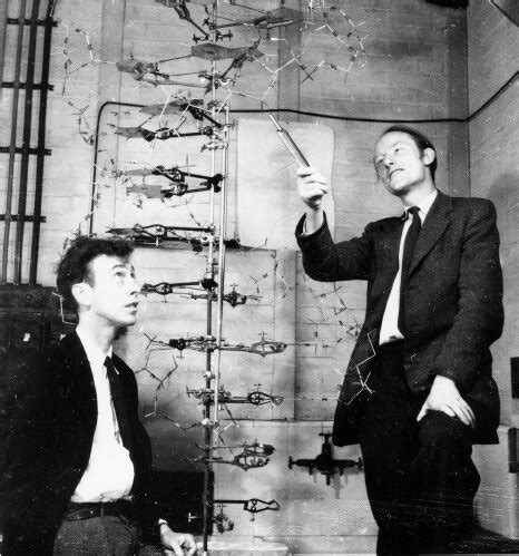 Dig Deeper into the Discovery of DNA | Exploratorium