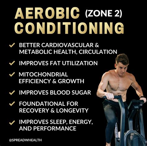 The Ultimate Guide To Cardio Training Why Zone Two Matters Whealth