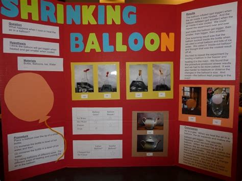 10 Unique Easy 8th Grade Science Fair Project Ideas 2024