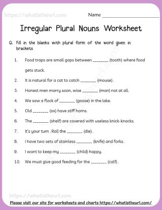 Irregular Plural Nouns Worksheet Your Home Teacher