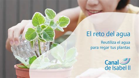 Consejos De Ahorro De Agua Reutiliza El Agua Para Regar Tus Plantas