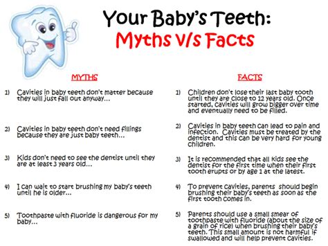 Your Babys Teeth Myths Vs Fact And Top 10 Things To Know Gear For The