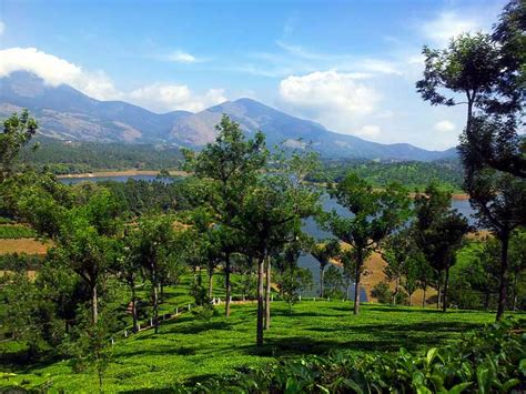 A Complete Tour Guide To Munnar Hill Station Trans India Travels