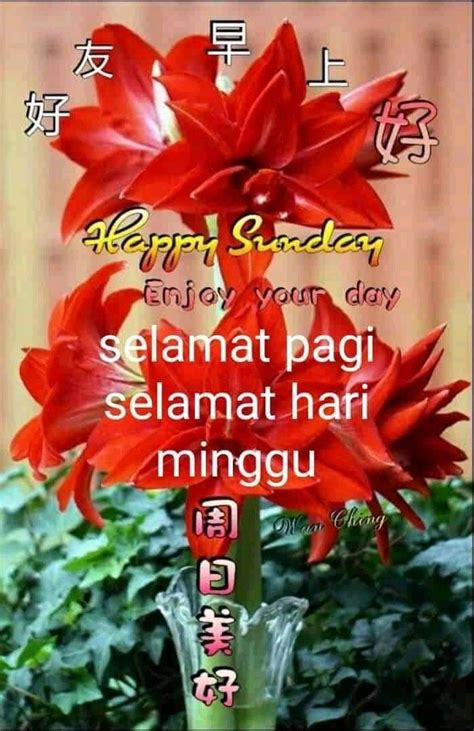 Pin By Andreana Pasanea On Day S Greetings Wishing Quotes Kutipan