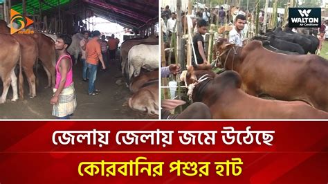 জেলায় জেলায় জমে উঠেছে কোরবানির পশুর হাট Gorur Haat Cow Price