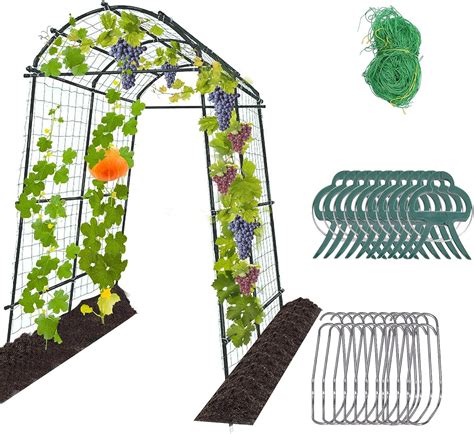 Amazon Mqforu Garden Trellis For Climbing Plants Ft Extra