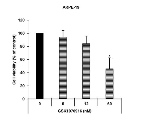 Fig S Cell Viability Of Arpe Cells In Response To Aurkb