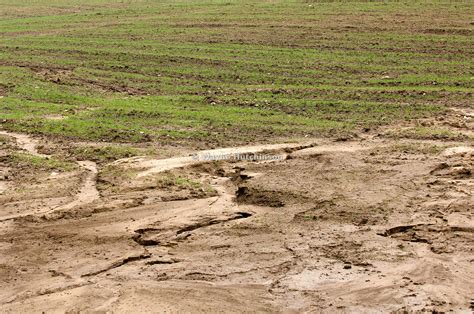 Hutchinson Photography Images Of Agriculture And Rural Life Soil