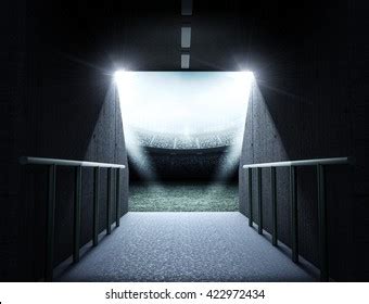 Stadium 3d Stock Illustration 422972434 | Shutterstock