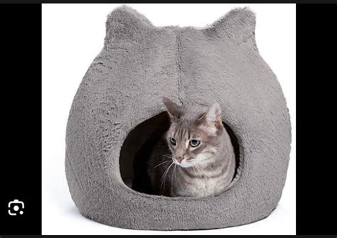 Top 10 Best Cat Beds For Purr Fect Comfort