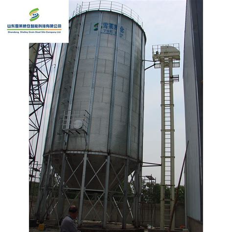 Galvanized Grain Wheat Maize Paddy Rice Hopper Bottom Silos For Sale