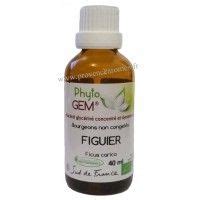 Figuier Phyto Gem Bio Phytofrance Euro Sant Diffusion Figuier Ficus