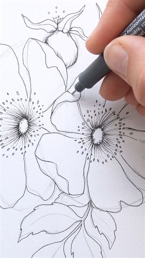 110 Flower drawing tutorials ideas | flower drawing tutorials, flower ...