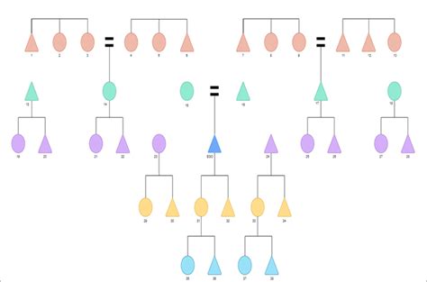 Kinship Chart Diagram Tutorial: Explain with Examples