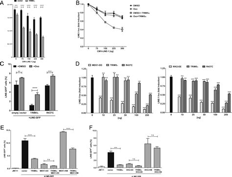 Human Trim Senses And Restricts Line Elements Pnas