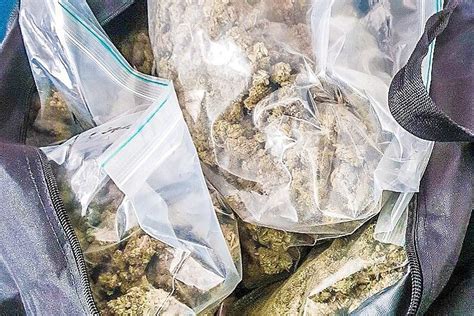 Zoll beschlagnahmt fünf Kilogramm Marihuana Ostfriesische Nachrichten