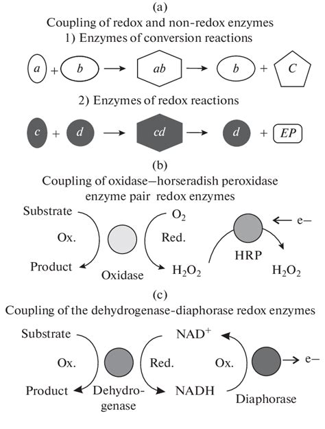 Types Of Multi Enzyme Cascade Reactions A A Cascade Reaction Of