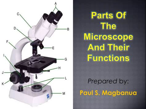 Parts of the microscope and their functions (Game) | PPT