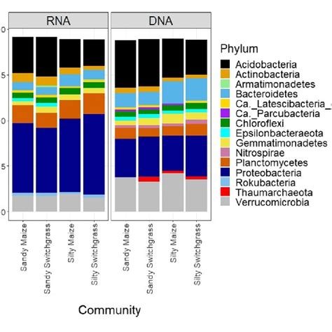 Relative Abundance Of Bacterial And Archaeal Phyla Separated By