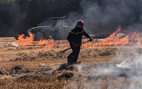 Vendée des bons réflexes à adopter pour stopper les feux dans les champs