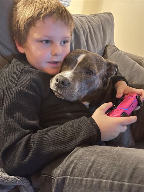 Less Gaming More Petting Rpitbulls