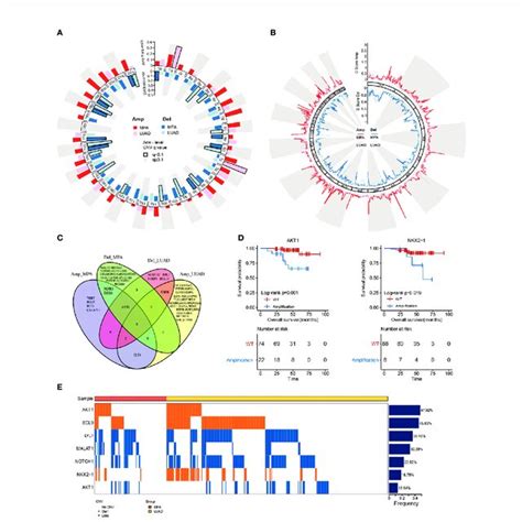 Mutational Signatures Of Mpa And Luad Cohort A Single Nucleotide