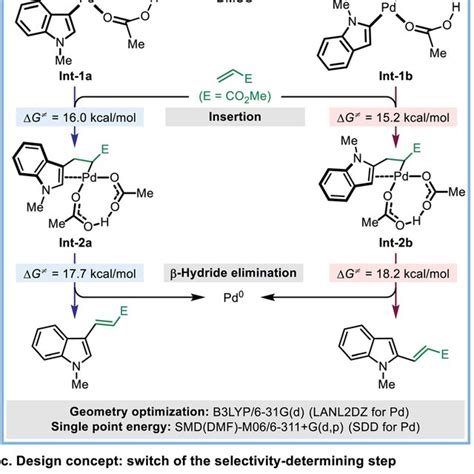 Pdf Regiocontrol In The Oxidative Heck Reaction Of Indole By Ligand