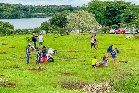 Mais De Mil Mudas De Rvores Plantadas Em N Cleos Rurais Do Lago