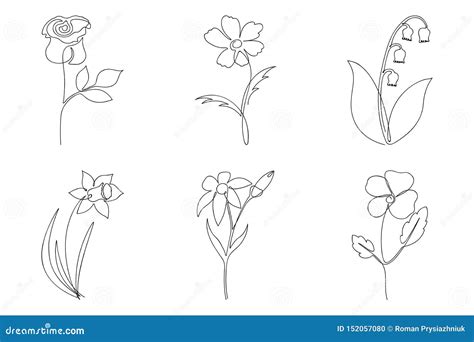 L Nea Continua Sistema De La Flor Un Dibujo Lineal De Diversas Flores