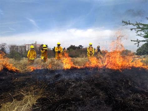 Reconocen Labor De Combatientes De Incendios Forestales En Su Día