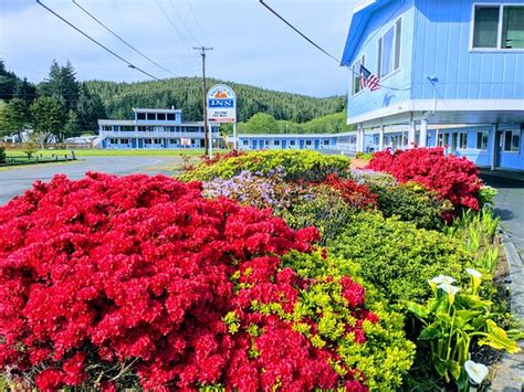 Winchester Bay Inn Inn Reviews Photos Rate Comparison Tripadvisor