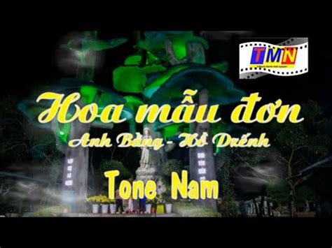 Karaoke Hoa M U N Anh B Ng H Dz Nh Tone Nam Am Cover