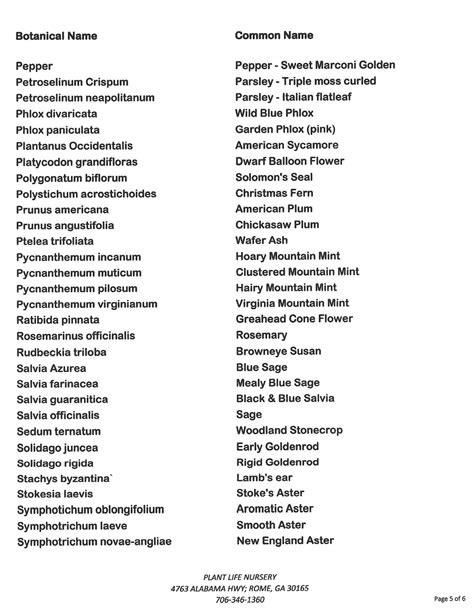 Plant Life Nursery | Rome GA