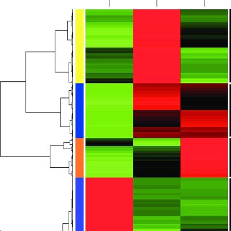 Hierarchical Clustering And Heat Map Analysis Of Differentially