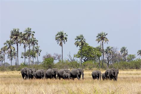 Great Plains Conservation | LinkedIn