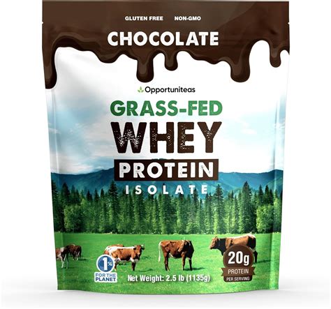 Grass Fed Chocolate Whey Protein Isolate Powder 20g Protein Powder Without Artificial