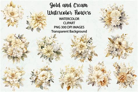 Gold And Cream Flowers Watercolor Clipar Graphic By Siatia Creative