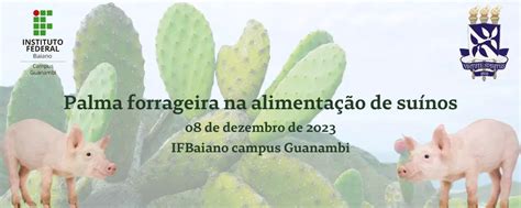 Palma forrageira na alimentação de suínos Agro Agenda