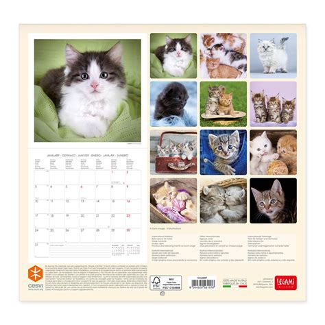 Calendar 2022 Kittens 30x29 Cm Legami