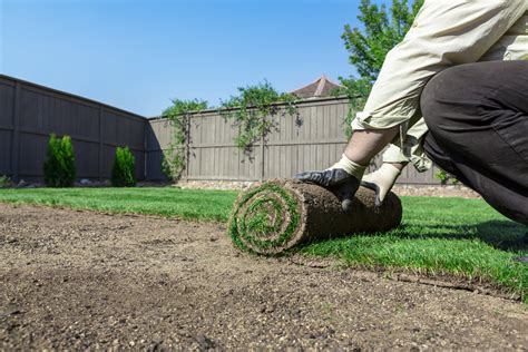 Laying Sod: A Few Rookie Mistakes to Avoid - Southern Landscaping Materials