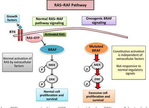 Table From Recent Advances In The Treatment Of Melanoma With Braf And